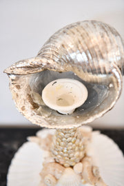 Seashell Candlestick