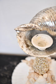 Seashell Candlestick