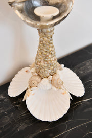 Seashell Candlestick