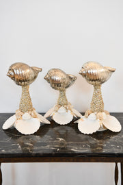 Seashell Candlestick