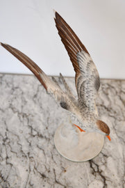 Paint-Decorated Porcelain Model of Bird