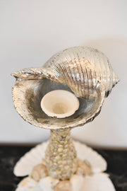 Seashell Candlestick