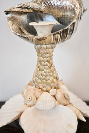 Seashell Candlestick