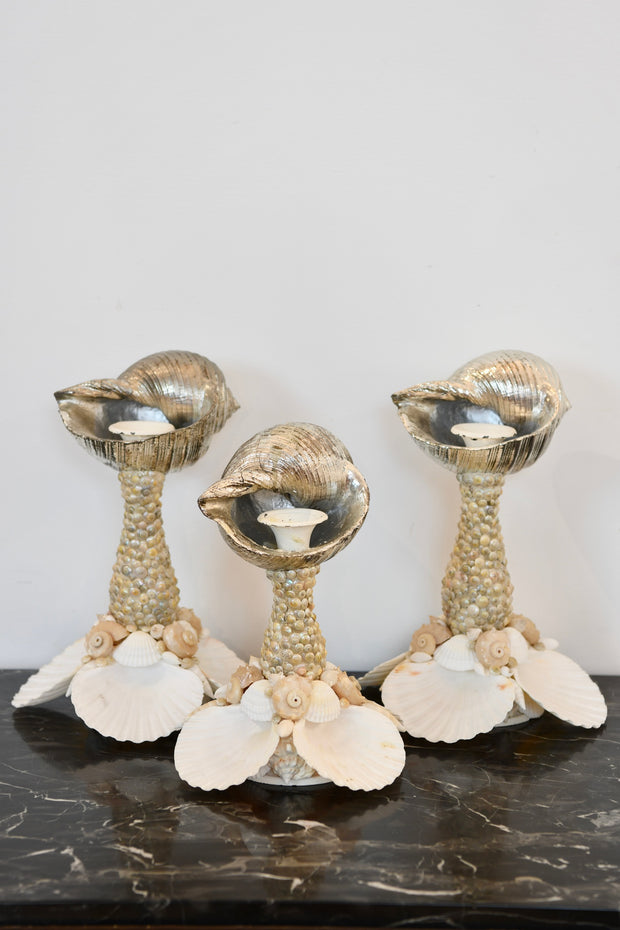 Seashell Candlestick