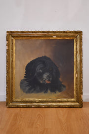 Antique American School Oil Labrador Portrait