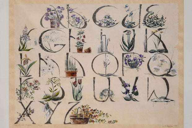 Whitney Brooks Hansen Botanical Print on Paper